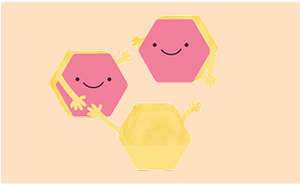 Fructooligosaccharide (FOS)